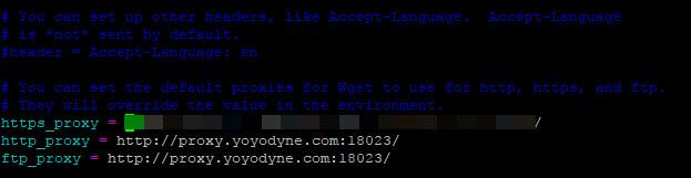 wget-proxy.jpg